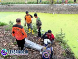 Ngeri!!!, Mayat Mr. X Ditemukan Mengapung di Dam Sungai Desa Sumolawang