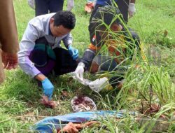 Petugas Sampah di Mojokerto Temukan Kantong Plastik Berisi Gumpalan Darah di TPS