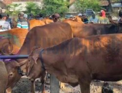 Disperta Mojokerto Perketat Pencegahan PMK di Pasar Hewan Pandanarum