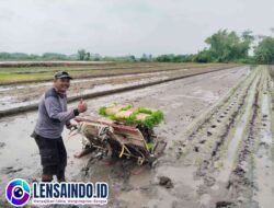 Bhabinkamtibmas Polsek Pungging Gandeng Cangkul di Sawah Usai Berdinas