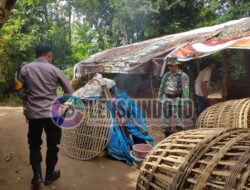 Polsek Trowulan Gerebek Lokasi yang Diduga Sarang Perjudian Sabung Ayam