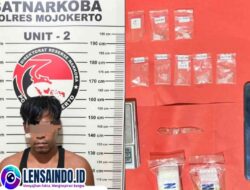 Satresnarkoba Polres Mojokerto Tangkap Pengedar Sabu, 23 Gram Barang Bukti Diamankan