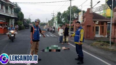 Kurang Konsentrasi, Pengendara Motor Tabrak Sepeda Gayuh, Korban Meninggal Dunia