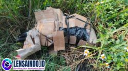 Sadis! Wanita Dihabisi dan Dibuang Dalam Kardus, Polisi Ungkap Fakta Mengejutkan