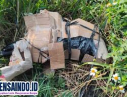 Sadis! Wanita Dihabisi dan Dibuang Dalam Kardus, Polisi Ungkap Fakta Mengejutkan