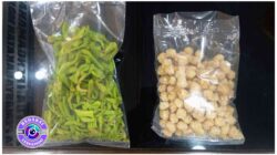 Kue Kering Rasa Koplo! Petugas Lapas Mojokerto Bongkar Modus Edan Penyelundupan Narkoba