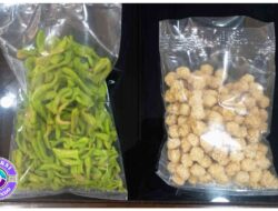 Kue Kering Rasa Koplo! Petugas Lapas Mojokerto Bongkar Modus Edan Penyelundupan Narkoba