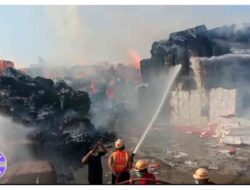 Api dari Lahan Tebu Merembet ke PT Sun Paper Source Mojokerto, Tumpukan Kertas Bahan Baku Terbakar