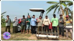 Petani Sambiroto Kembangkan Sistem Tanam Padi Modern, Bidik Panen 10 Ton per Hektare