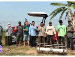 Petani Sambiroto Kembangkan Sistem Tanam Padi Modern, Bidik Panen 10 Ton per Hektare