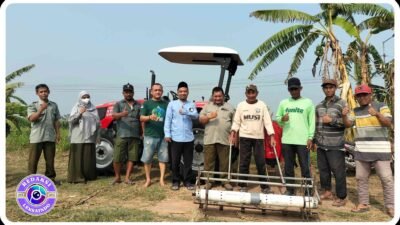 Petani Sambiroto Kembangkan Sistem Tanam Padi Modern, Bidik Panen 10 Ton per Hektare
